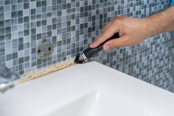 Trusted Mechanicsburg, OH Mold Removal Experts